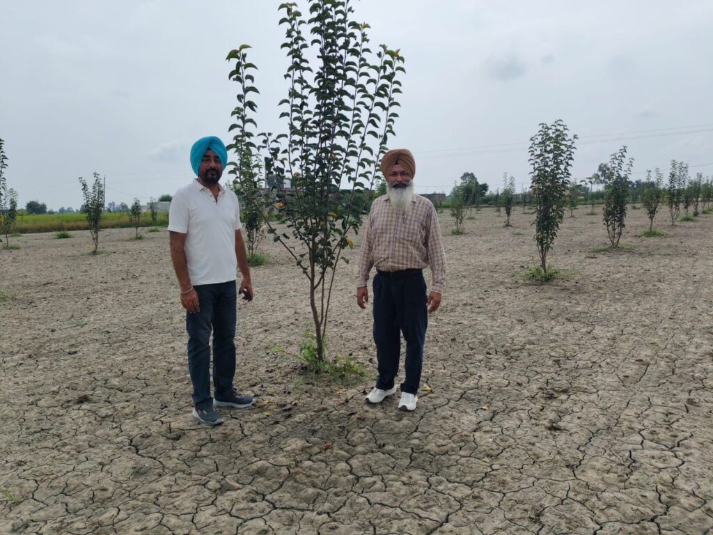 ਨਾਸ਼ਪਾਤੀ ਦੇ ਬਾਗ਼ਾਂ ਲਈ ਸਹੀ ਬੂਟੇ, ਸਹੀ ਤਕਨੀਕ ਅਤੇ ਪਾਣੀ ਦੀ ਸੁਚੱਜੀ ਵਰਤੋਂ ਜ਼ਰੂਰੀ – ਤਜਿੰਦਰ ਸਿੰਘ*